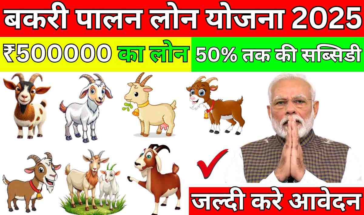 Bakri Palan Loan Yojana 2025