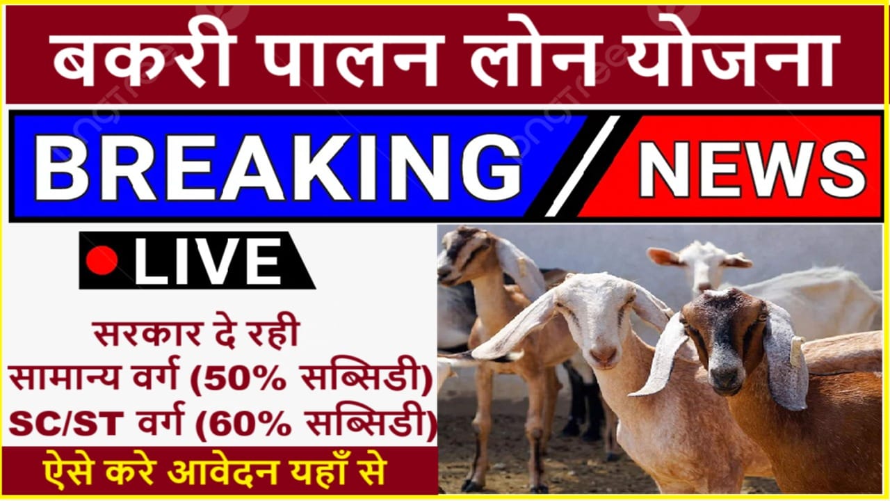 Bakri Palan Farm Yojana 2025