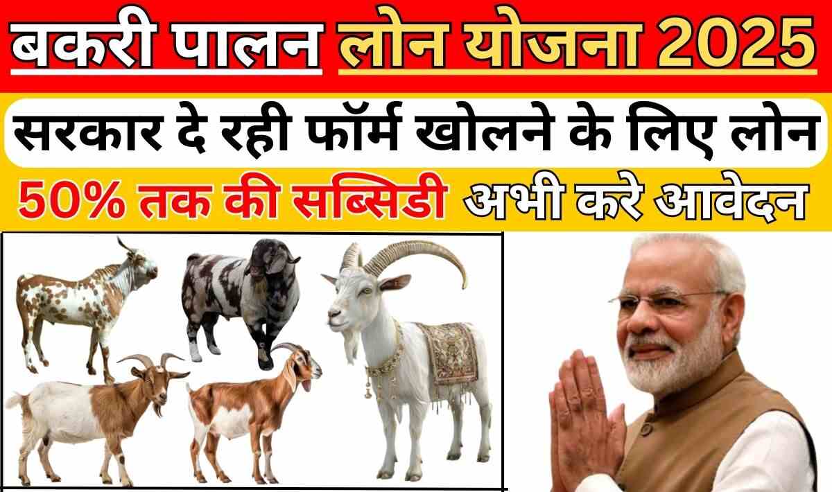 Bakri Palan Loan Yojana 2025