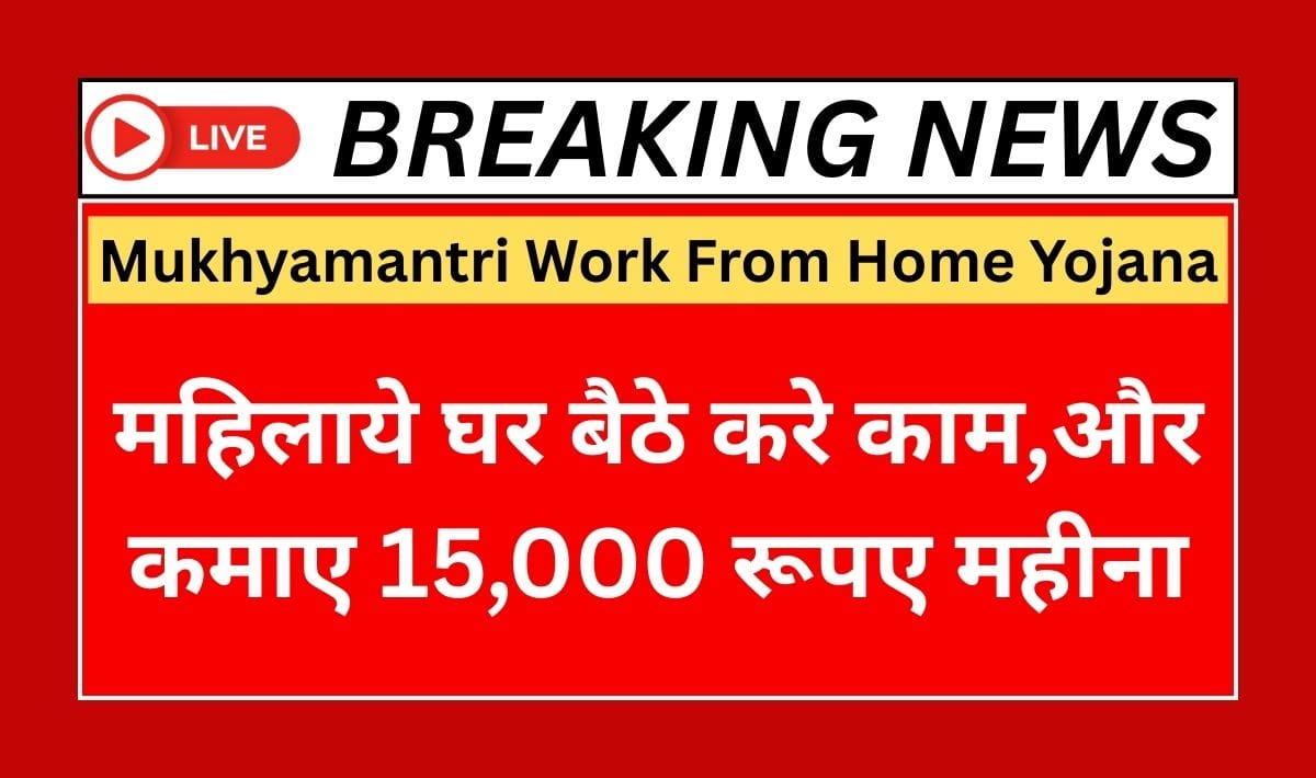 Mukhyamantri Work From Home Yojana9