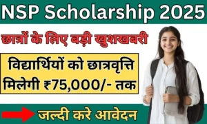 NSP Scholarship 2025