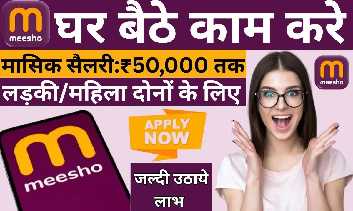 Meesho Work From Home Job: